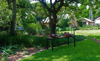 sweet thorn tree spacious cottage for 2 people with great terrace