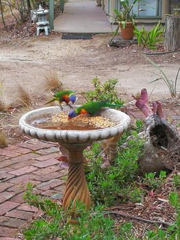 Kalimna Woods Cottages,Kalimna>>Gippsland,4 star