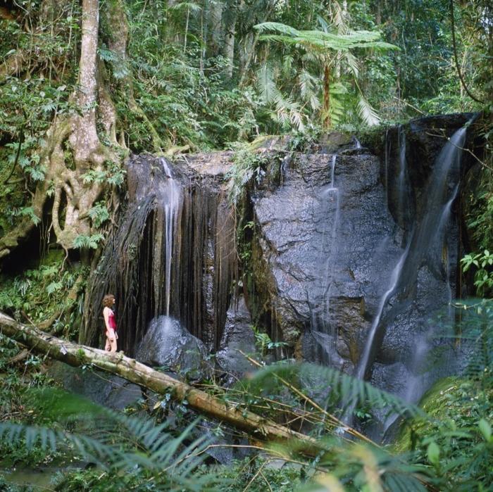 lake eacham