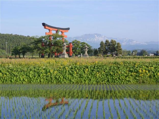 apa hotel tsuruoka ekimae