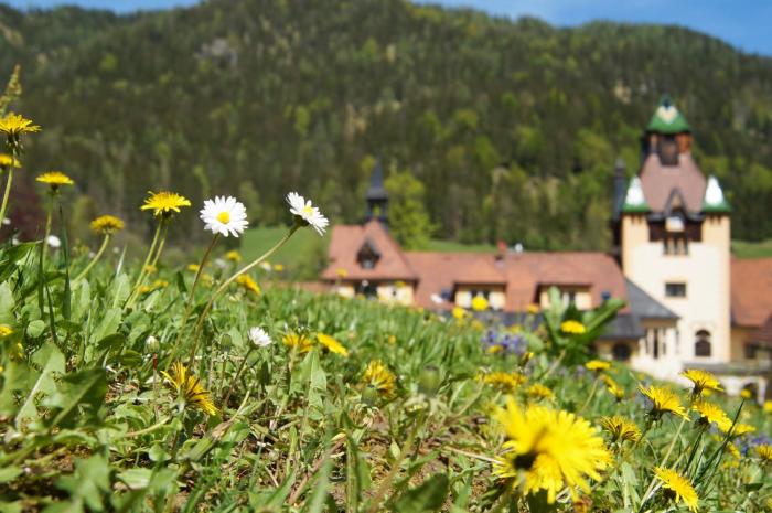 sankt gallen