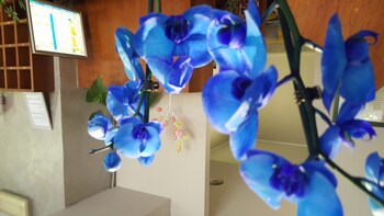 hotel umbria ristorante