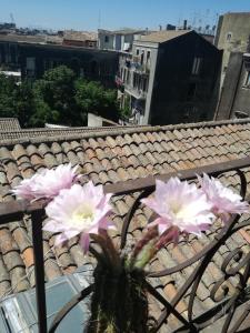 hotel biscari catania
