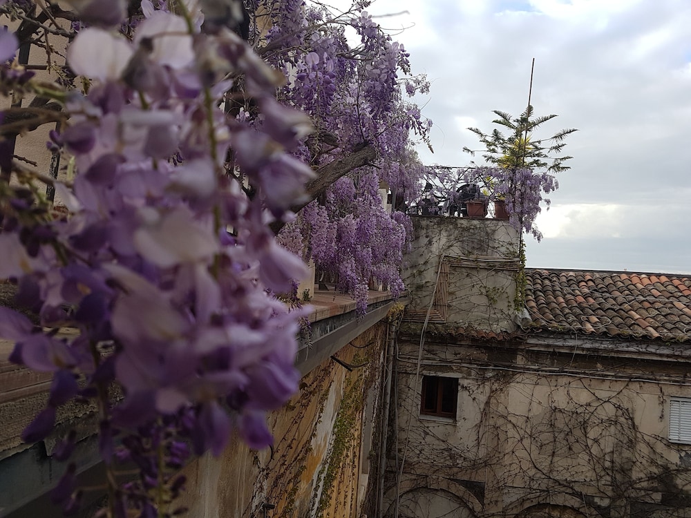 hotel biscari catania