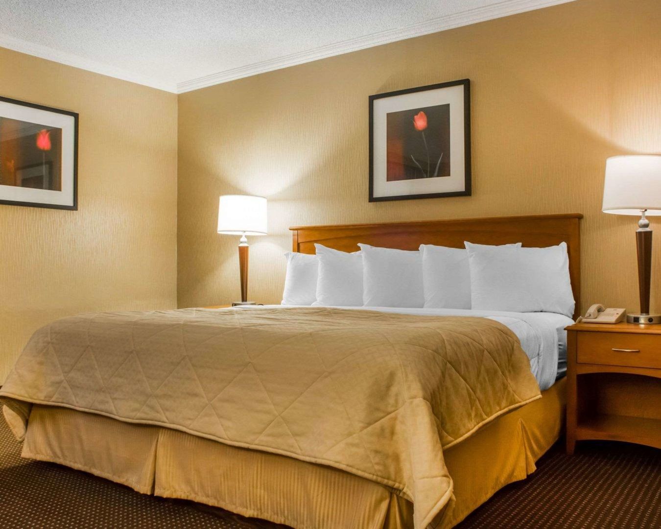 clarion hotel and suites riverfront