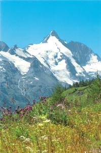 fusch an der grossglocknerstrasse