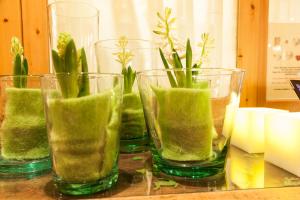 sankt anton am arlberg