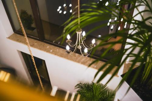 aparthotel ventus rosa