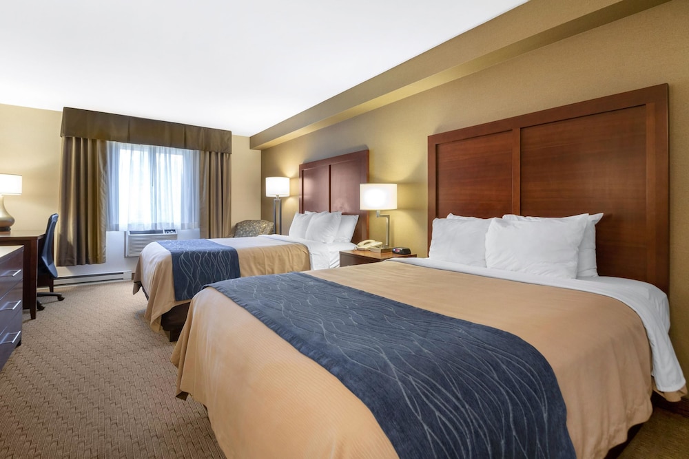 comfort inn