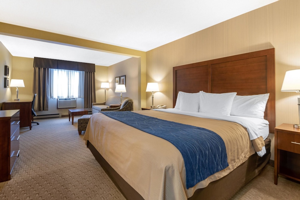 comfort inn