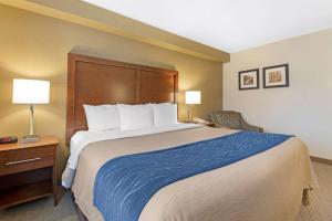 Comfort Inn,Michigan>>Iron Mountain,2.5 star