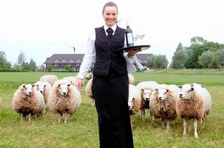 van der valk volendam