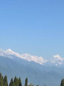 jewel himalayan heights