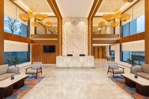 infinitea centric dharamshala