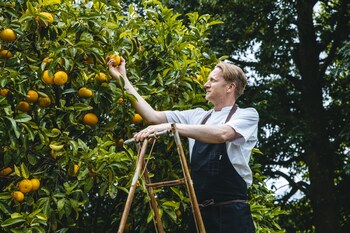 The Marlborough,Marlborough>>Blenheim,5 star
