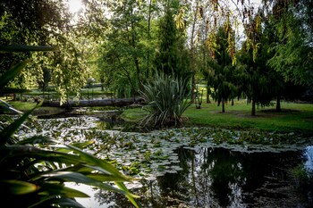 The Marlborough,Marlborough>>Blenheim,5 star