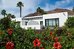 palmeras garden