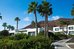 palmeras garden