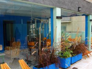 moreno 820 design apartments