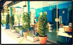 moreno 820 design apartments