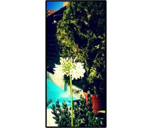 moreno 820 design apartments