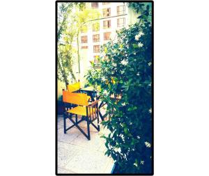 moreno 820 design apartments