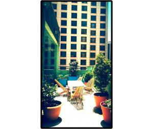 moreno 820 design apartments