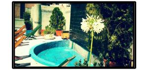 moreno 820 design apartments