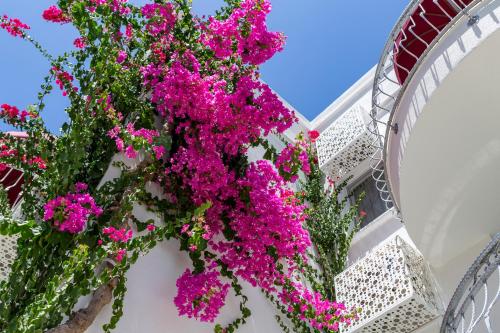 la brezza suite and hotel