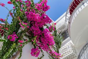 bodrum