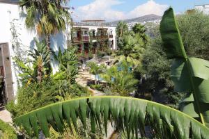 bodrum
