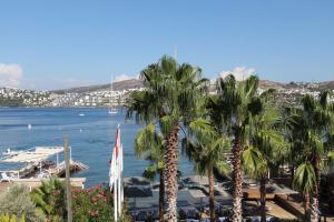 bodrum