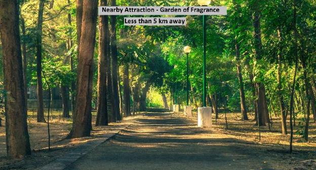 townhouse 687 hotel 77