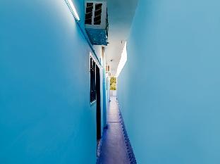 spot on luv kush inn