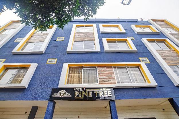 super townhouse pine tree
