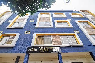 super townhouse pine tree