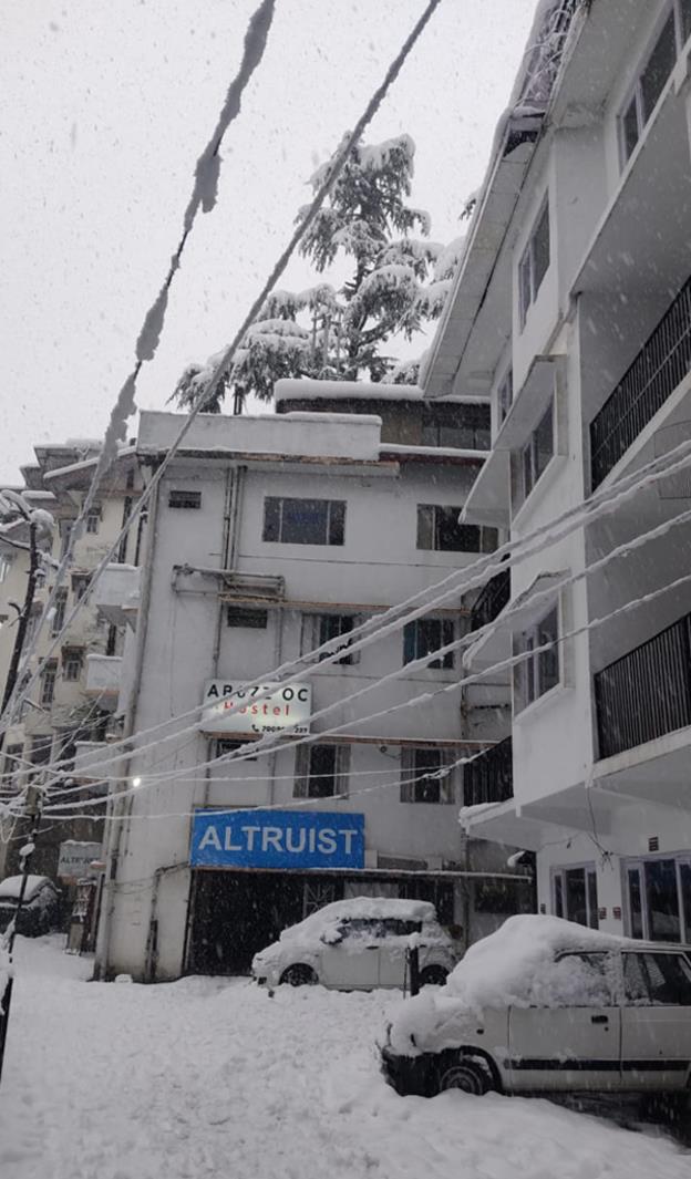 abuzz oxfordcaps shimla hostel
