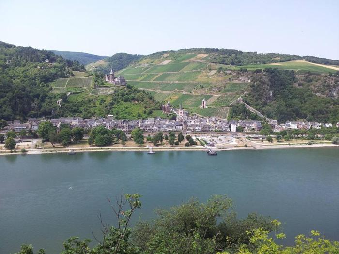 bacharach