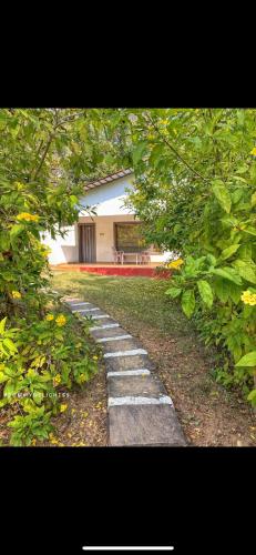 wild wood tiger resort