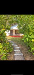 wild wood tiger resort