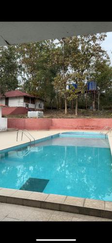 wild wood tiger resort