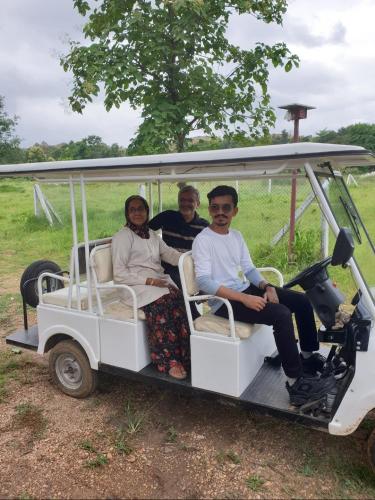 wild wood tiger resort