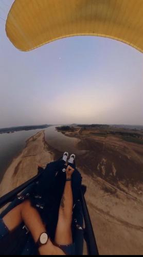 wild wood tiger resort