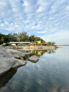 wild wood tiger resort