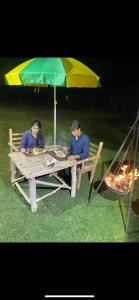 wild wood tiger resort