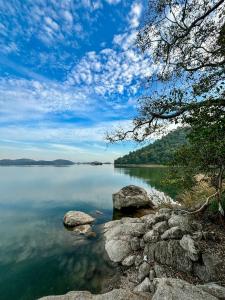 wild wood tiger resort