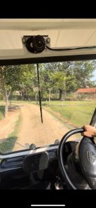 wild wood tiger resort