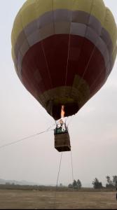 wild wood tiger resort