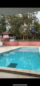 wild wood tiger resort