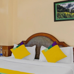 shimla
